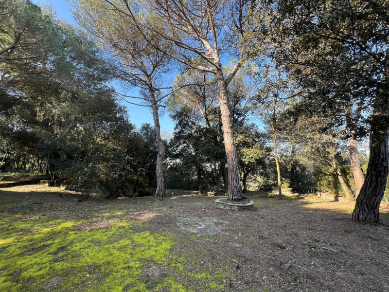 HABITATGE EN VENDA A TARADELL 8